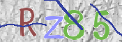Immagine CAPTCHA